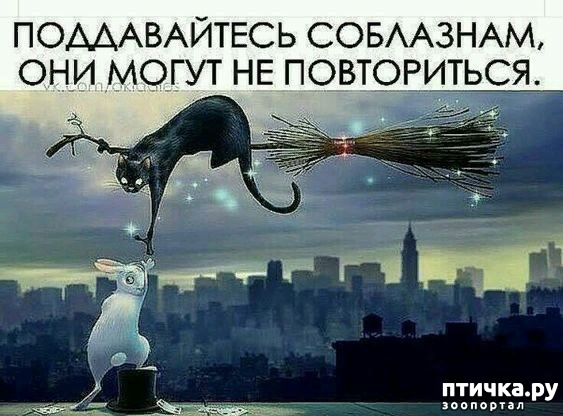 ���� 1: ������ �� ������ ����