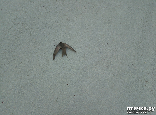 ���� 1: ������ - �������