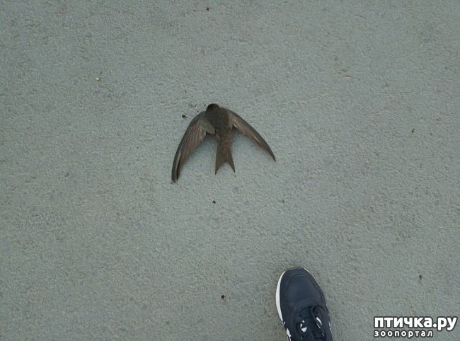 ���� 2: ������ - �������