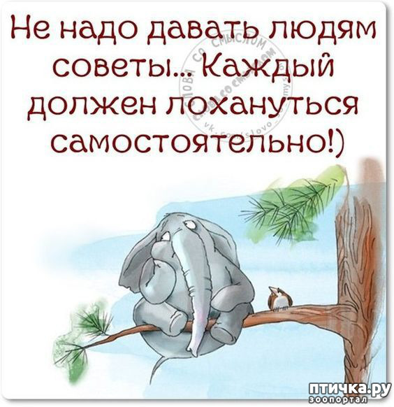 ���� 20: ������ �� ������ ����