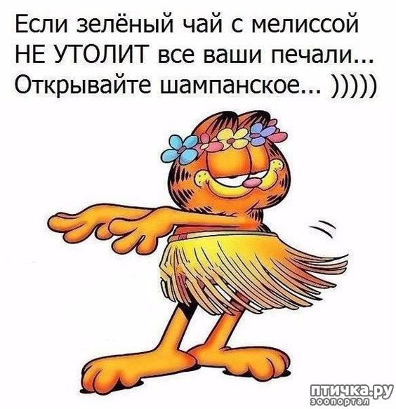 ���� 16: ������ �� ������ ����