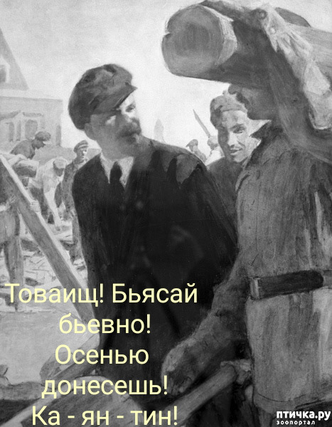 ���� 1: ������