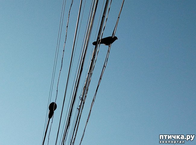 ���� 4: ������ - �������