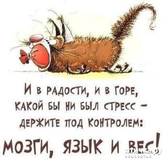 ���� 19: ������ �� ������ ����