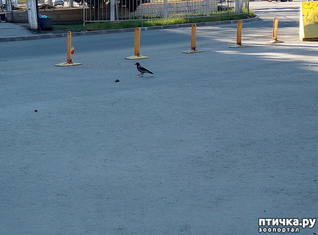 ���� 5: ������ - �������