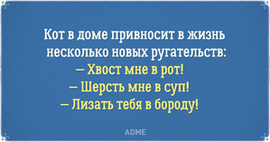 фотография: Бесконечная пятница... или еще немного юмора фото: Бесконечная пятница... или еще немного юмора