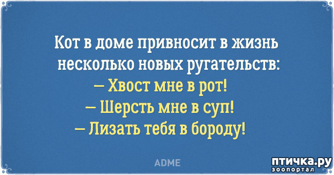  1:  ...    