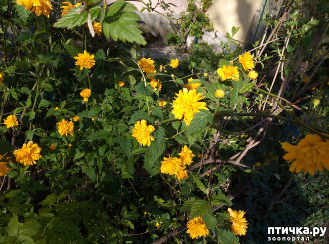 ���� 6: ������ - �������