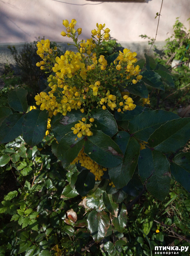 ���� 7: ������ - �������