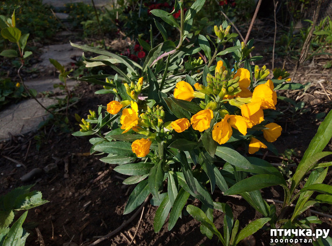 ���� 8: ������ - �������