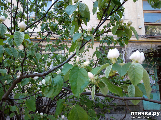 ���� 9: ������ - �������