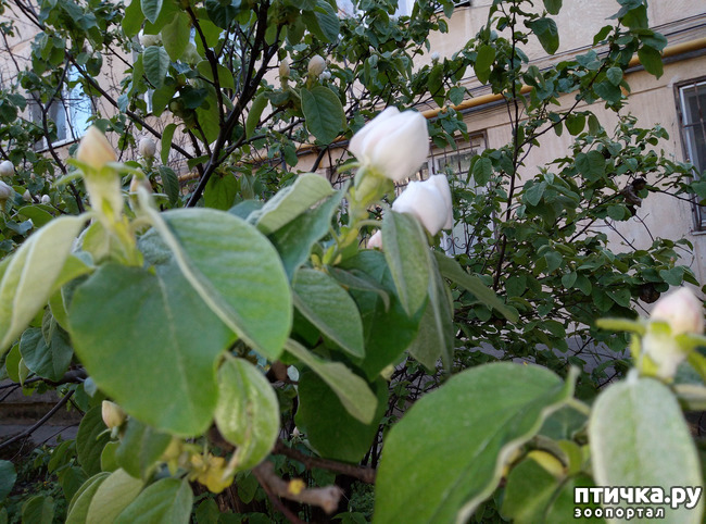 ���� 10: ������ - �������