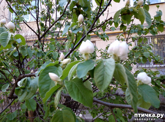 ���� 15: ������ - �������