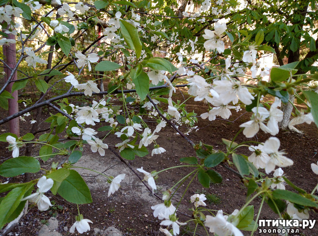 ���� 11: ������ - �������