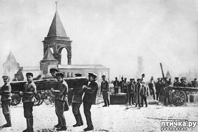 ���� 2: ������