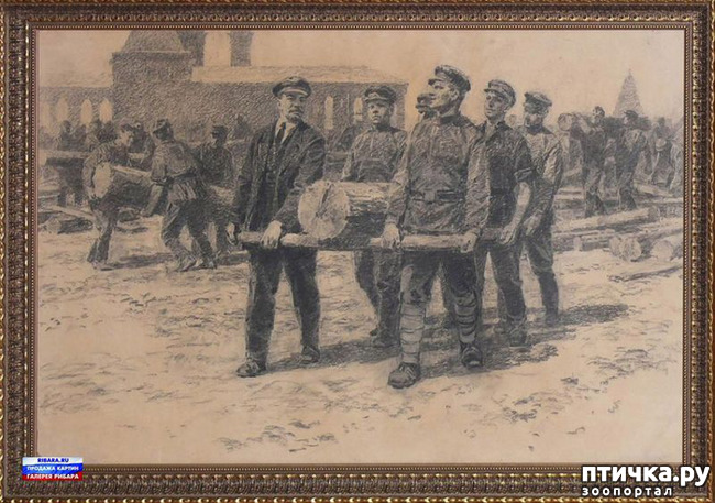 ���� 3: ������