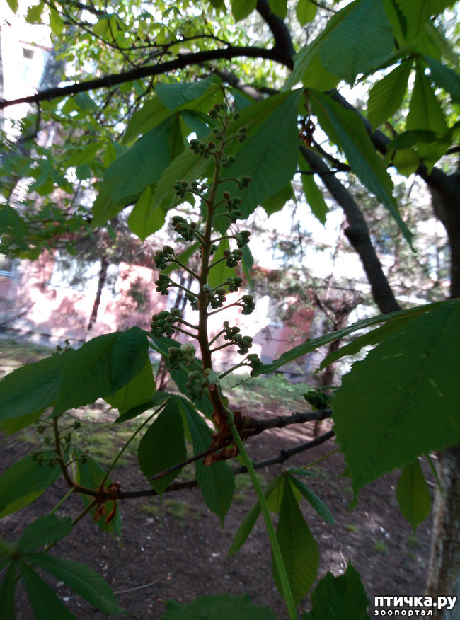 ���� 12: ������ - �������