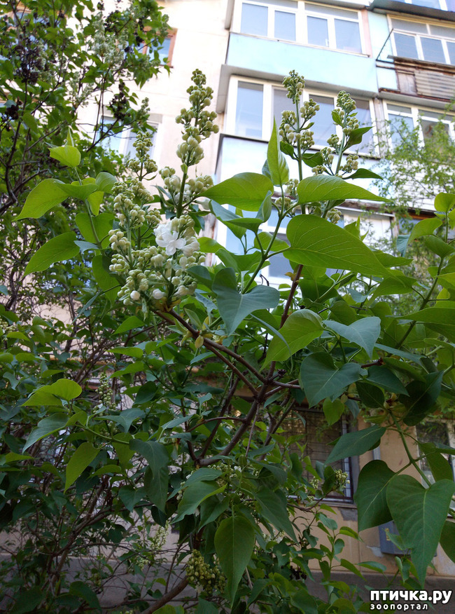 ���� 13: ������ - �������