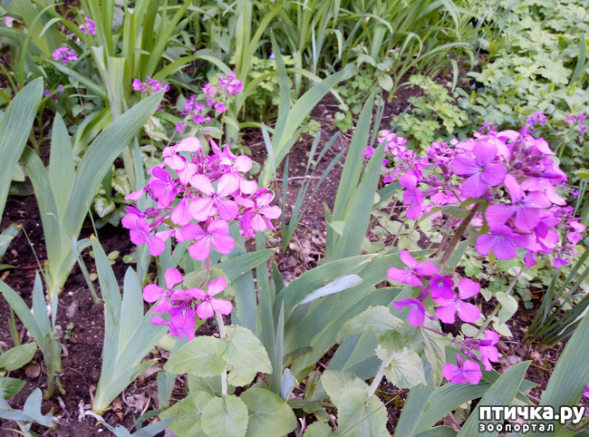 ���� 14: ������ - �������