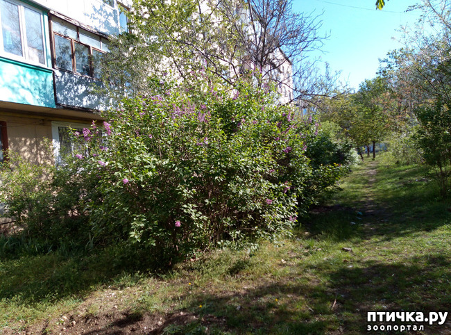 ���� 16: ������ - �������