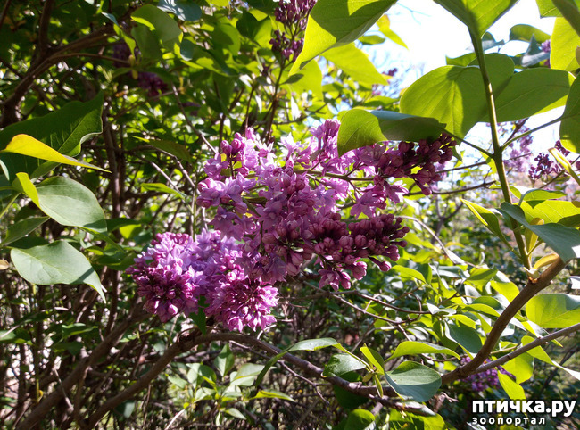 ���� 17: ������ - �������