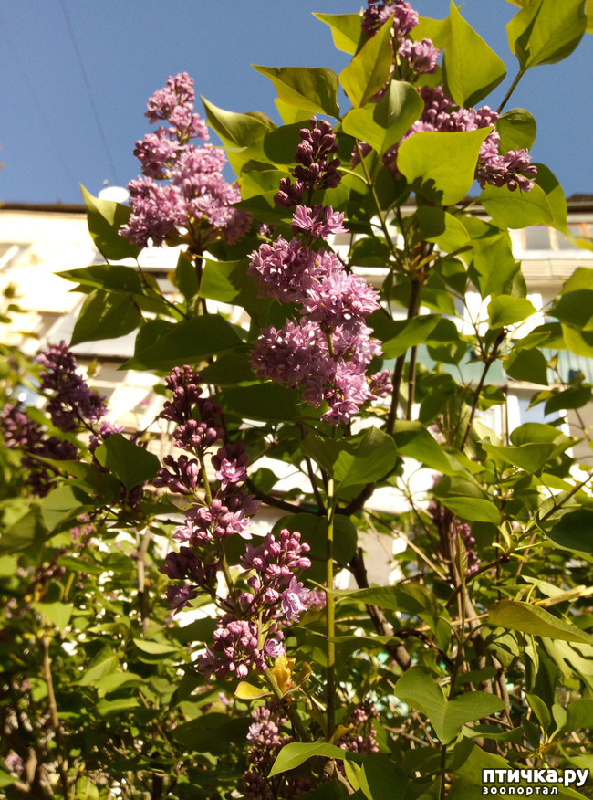 ���� 19: ������ - �������