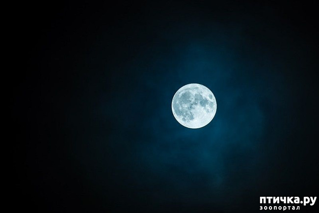 ���� 14: � ������� �������� ���. �� �� �����, ��� - ����!