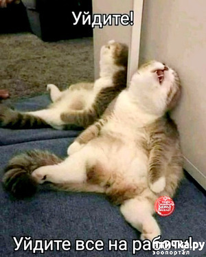 ����: ������� � ������ ������ 5