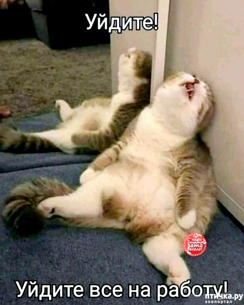 ���� 1: ������� � ������ ������ 5