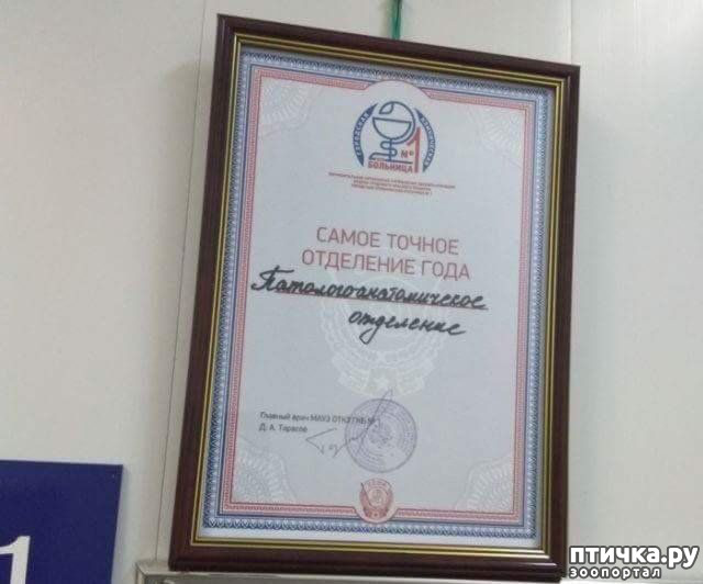 ���� 11: ������� � ������ ������ 5