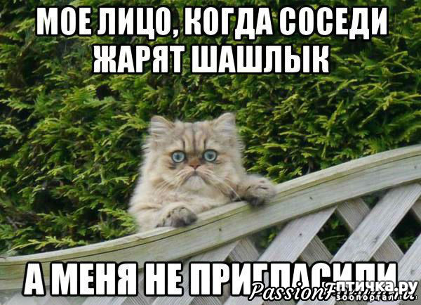 ���� 8: ������� � ������ ������ 5