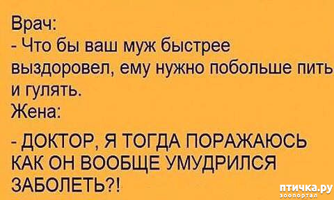 ���� 4: ������� � ������ ������ 5