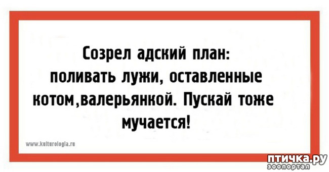 ���� 16: ������� � ������ ������ 5