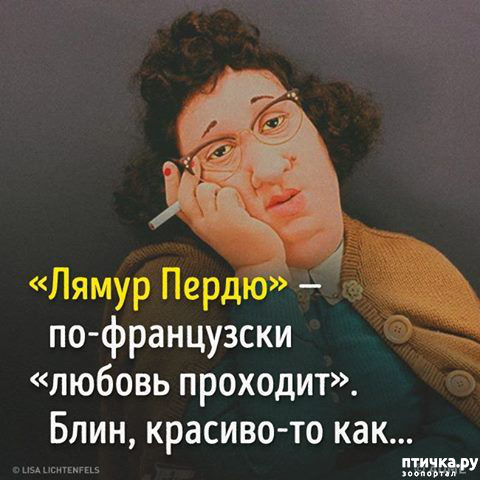 ���� 19: ������� � ������ ������ 5