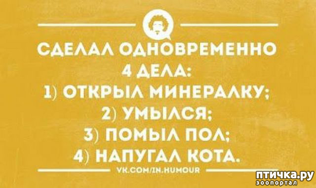 ���� 25: ������� � ������ ������ 5