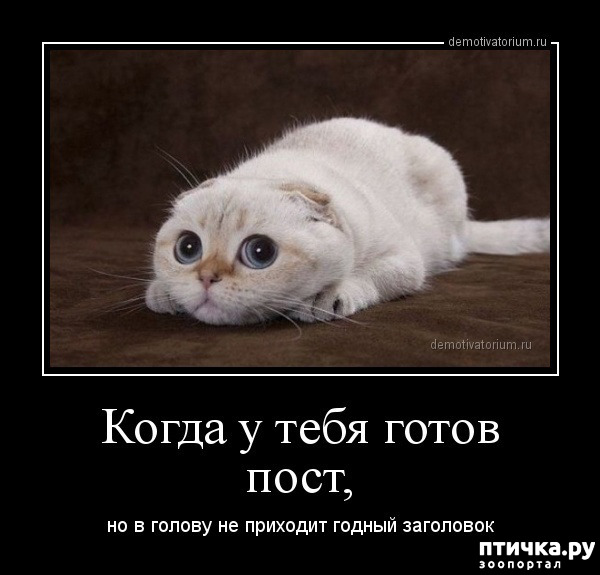 ���� 24: ������� � ������ ������ 5