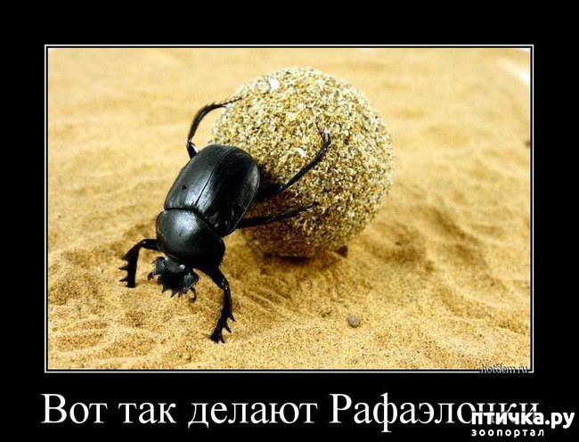 ���� 31: ������� � ������ ������ 5