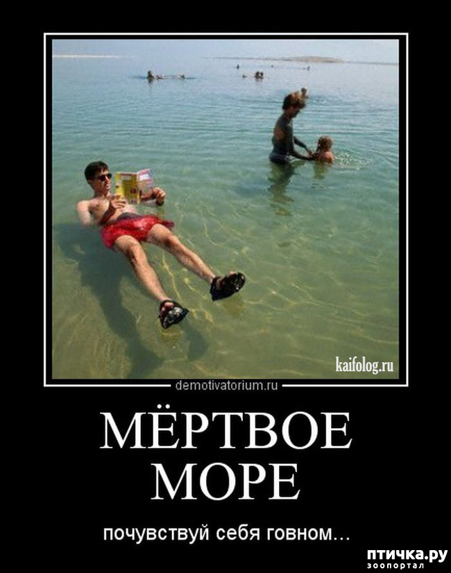 ���� 35: ������� � ������ ������ 5