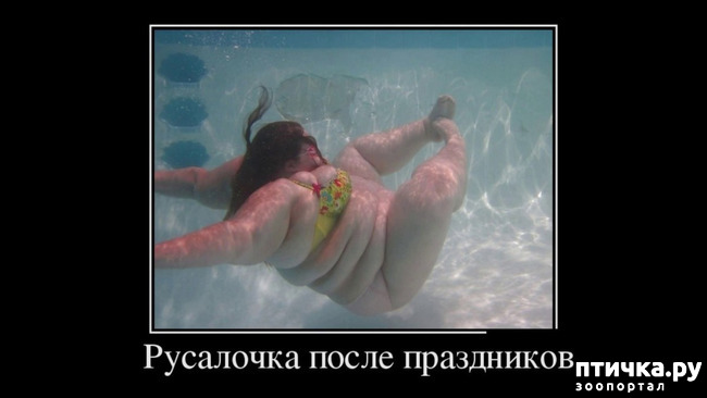 ���� 34: ������� � ������ ������ 5