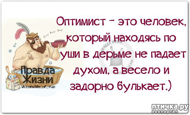 ���� 38: ������� � ������ ������ 5