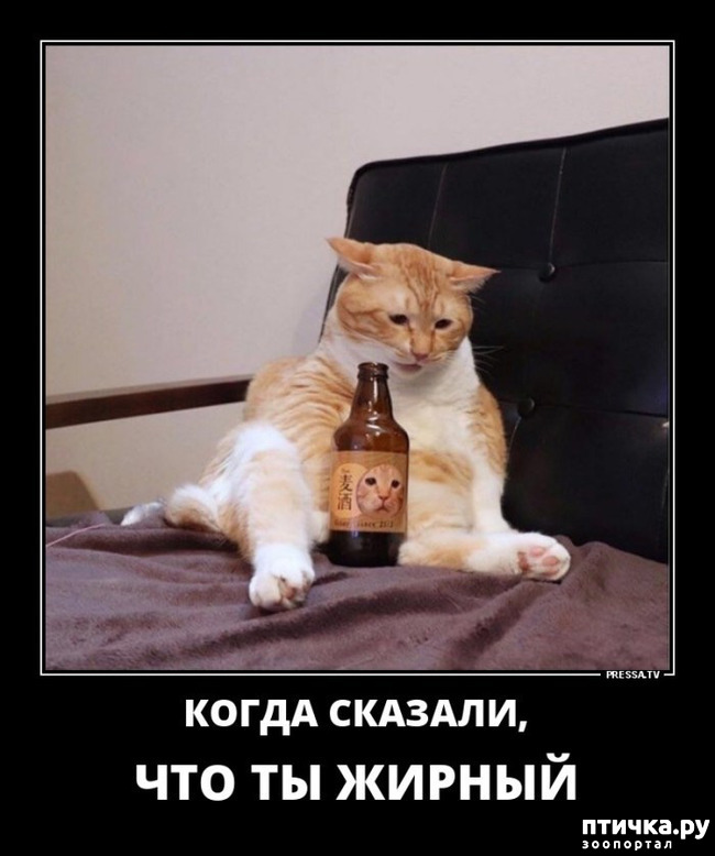 ���� 37: ������� � ������ ������ 5