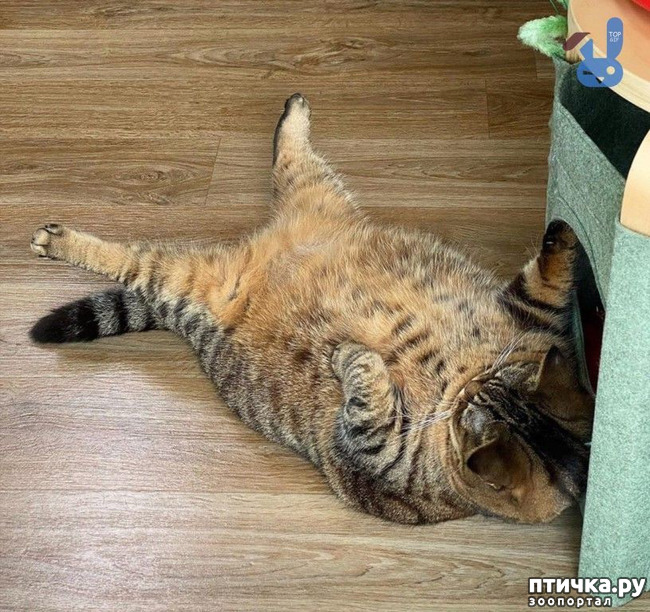 ���� 32: ������� � ������ ������ 5