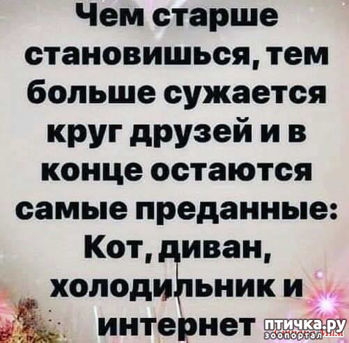 ���� 44: ������� � ������ ������ 5