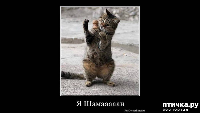 ���� 43: ������� � ������ ������ 5