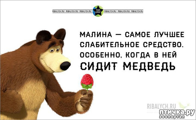 ���� 41: ������� � ������ ������ 5