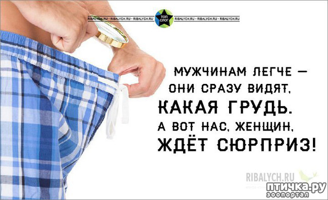 ���� 39: ������� � ������ ������ 5