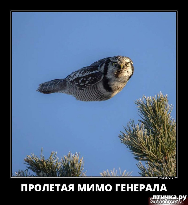 ���� 42: ������� � ������ ������ 5