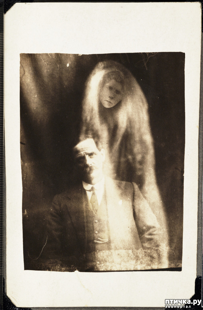 ���� 15: � ������� �������� ���. �� �� �����, ��� - ����!