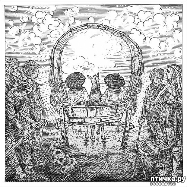 ���� 16: � ������� �������� ���. �� �� �����, ��� - ����!