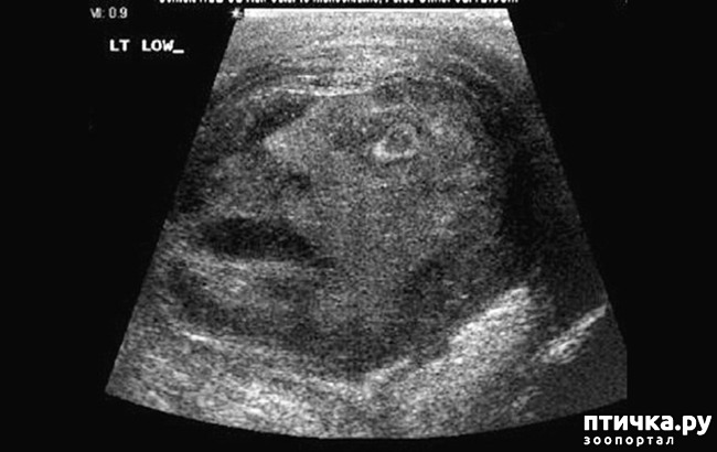 ���� 17: � ������� �������� ���. �� �� �����, ��� - ����!